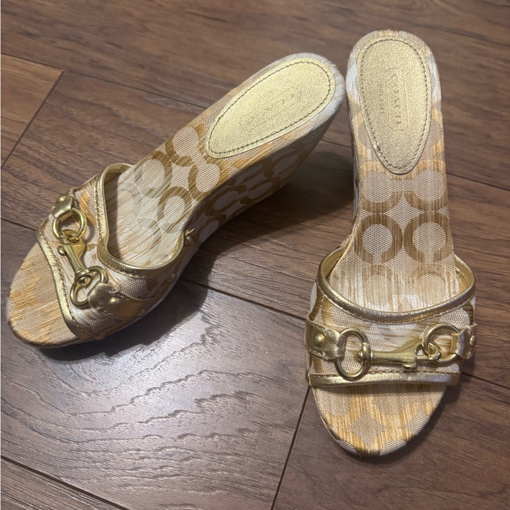 Coach Wedges